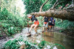 BIB: 
                            <button type="button" onclick="openModal(25517899)" class="btn btn-primary btn-sm float-right btn-popup" data-toggle="modal" data-target=".modal-high-quality">
                        <i class="fas fa-shopping-cart"></i> Add to Cart
                    </button>
                                            <button type="button" onclick="isThisMe(25517899, true)" class="btn btn-success btn-sm float-right btn-popup btn-isme hidden" data-toggle="tooltip" data-placement="bottom" title="นี่คือรูปของคุณใช่ไหม คลิกที่นี่เพื่อเอาเข้าอัลบั้ม">
                        <i class="fas fa-plus"></i> Add to album
                    </button>
                    <button type="button" onclick="isThisMe(25517899, false)" class="btn btn-warning btn-sm float-right btn-popup btn-isnotme hidden">
                        <i class="fas fa-ban"></i> Remove from album
                    </button>